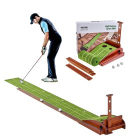Golf Putting Mat, 2 Hole Indoor Golf Putting Green, Wrinkle-Free Golf Training Aid, Mini Golf Set with Auto-Ball Return, Alignment Guide, 3 Ball